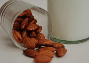 Vegan Dairy Substitutes