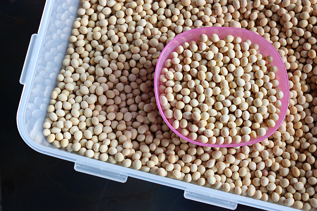 DIY TOFU TUTORIAL: It starts from dried soybeans