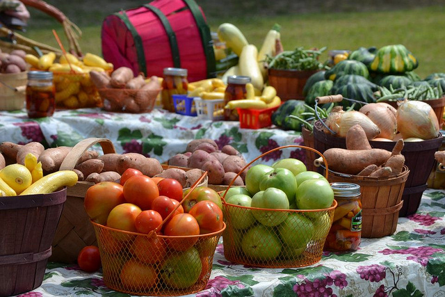 A vibrant farmer's market at Ag Heritage Park.