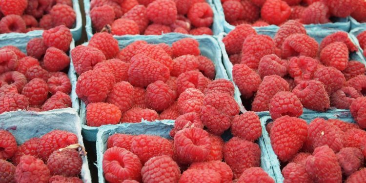 Health Benefits Of Raspberries