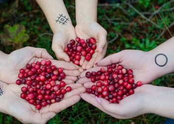 Are cranberries keto