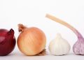 Substitutes For Onions And Garlic