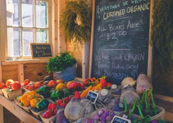 Benefits of Organic Food