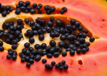 How to cut a papaya|How to cut a papaya|cutting a papaya