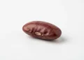 Alternate Sources Of Protein