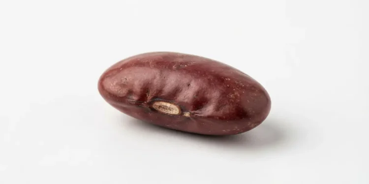 Alternate Sources Of Protein