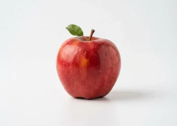 Bad Points Of Processed Food