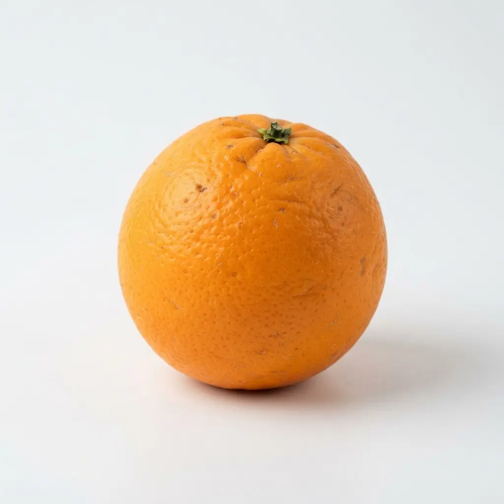 Orange on a clean white background.