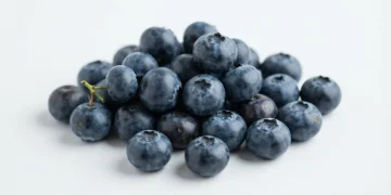 Essential Books About Healthy Eating