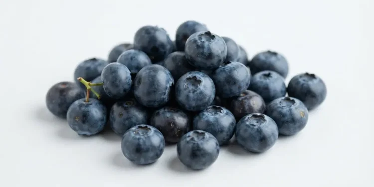 Essential Books About Healthy Eating
