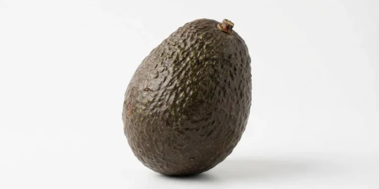 Mind Blowing Facts About Healthy Eating