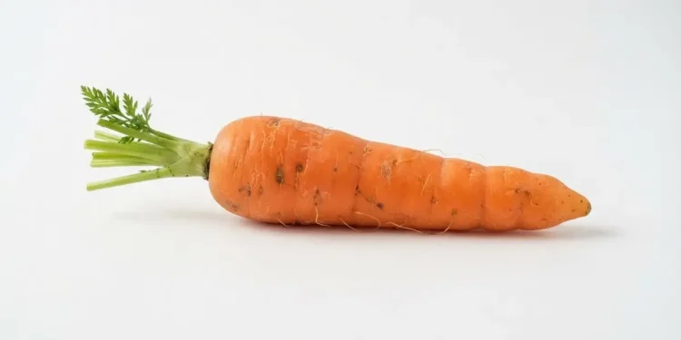 Mistakes To Avoid When Preparing Vegetables