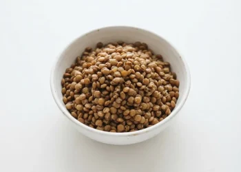 Things That Make An Excellent Diet Program