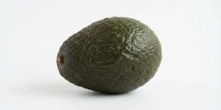 Tips To Get Into Raw Food Diet