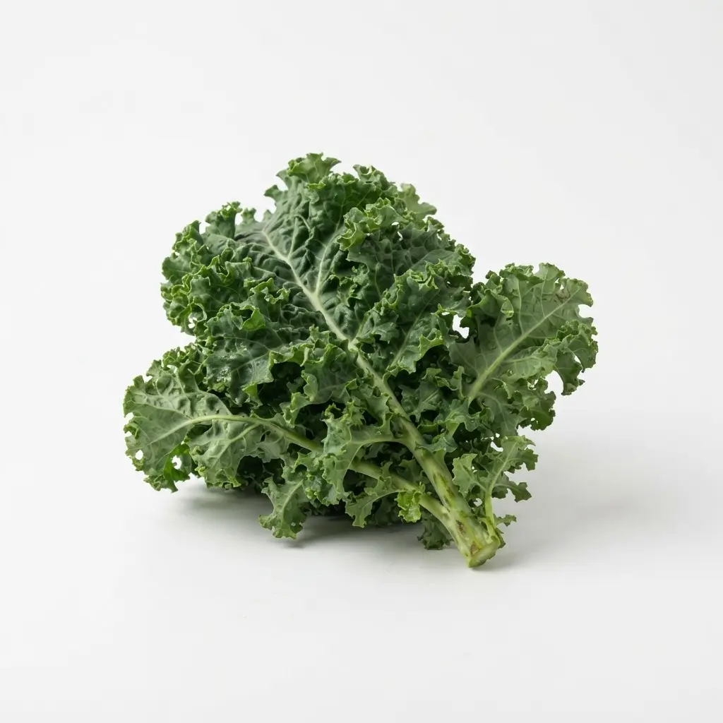 Kale on a clean white background.