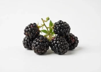 Ways To Eliminate Sugar From Your Diet
