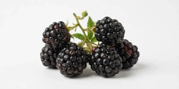 Ways To Eliminate Sugar From Your Diet