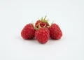 Ways To Keep Yourself From Junk Food
