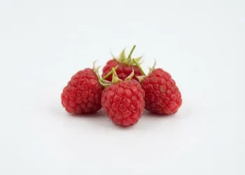 Ways To Keep Yourself From Junk Food