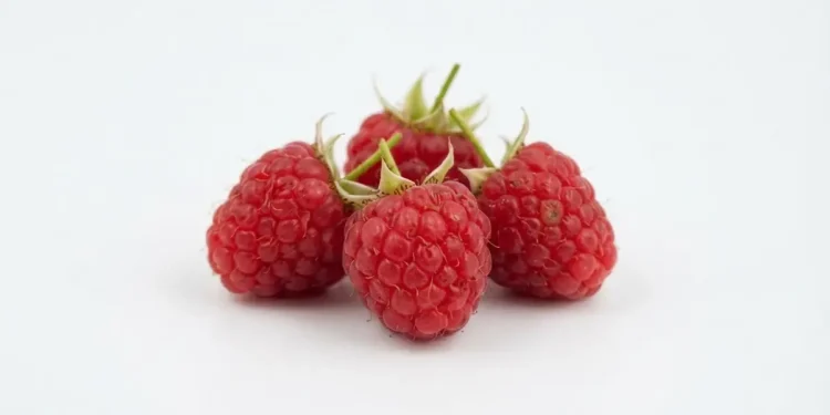 Ways To Keep Yourself From Junk Food