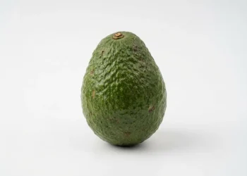 Worst Nutrition Advice